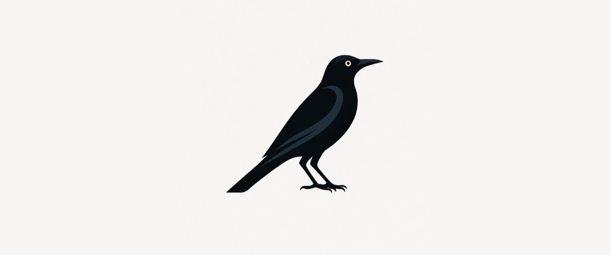 A black grackle with a pale gold eye